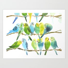 A Chatter of Budgerigars Art Print