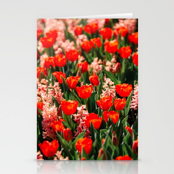 Red Tulips and Pink Hyacinth Stationery Cards