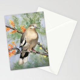 Morning Dove Stationery Cards