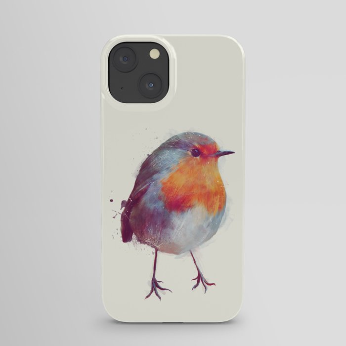Winter Robin iPhone Case