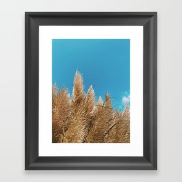 Pampas grass Framed Art Print