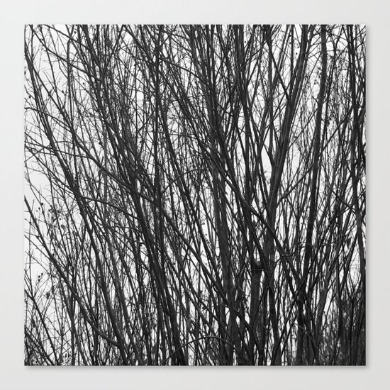 Trees Canvas Print