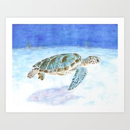 Sea turtle underwater Art Print