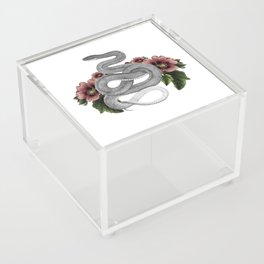 Rebirth Acrylic Box