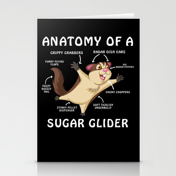 anatomy of a sugar glider Stationery Cards
