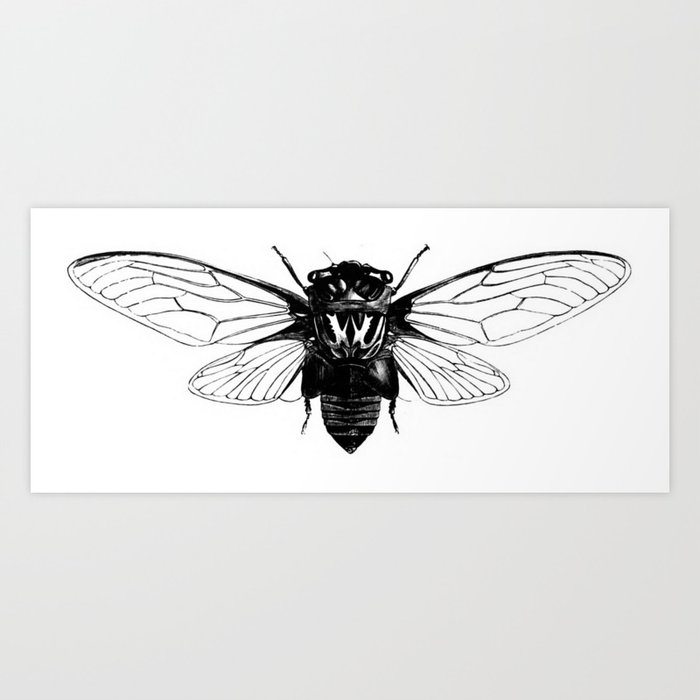 Spooky Bug Cicada Lineart Science Art by WF Kirby Art Print