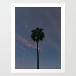 palm tree in california iii, in december Art Print