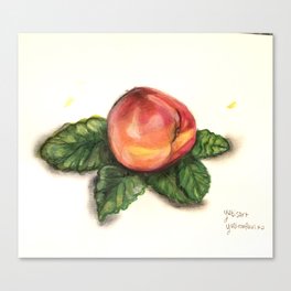 peach Artwork Canvas Print