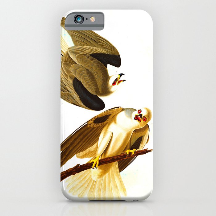 Black Winged Hawk Illustration iPhone Case
