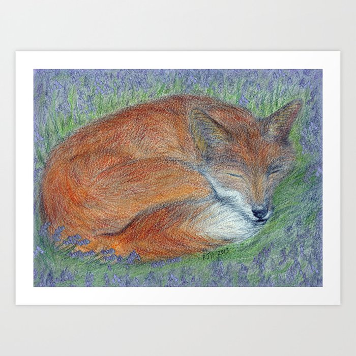 A Sleepy Fox  Art Print