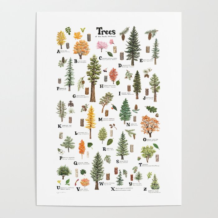 Trees of the Pacific Northwest Poster