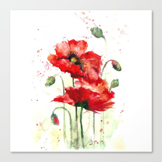 Watercolor flowers of aquarelle poppies Canvas Print