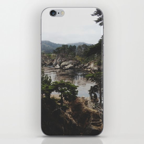 Bluefish Cove iPhone Skin
