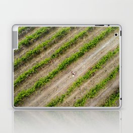 Mama kissing baby in the grape vines - Aerial Drone Art Laptop Skin
