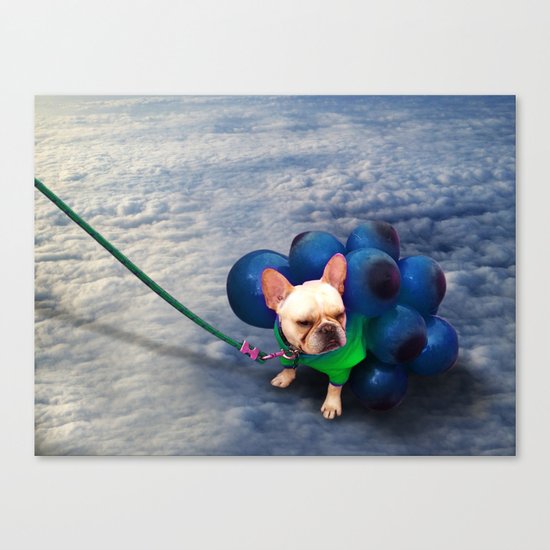 Up in the Clouds Canvas Print