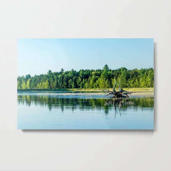 Driftwood Reflection Metal Print