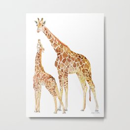 Mother and Baby Giraffes Metal Print