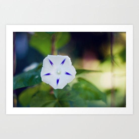 Star Art Print