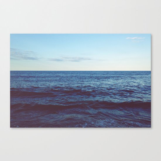 Truely Wild Canvas Print
