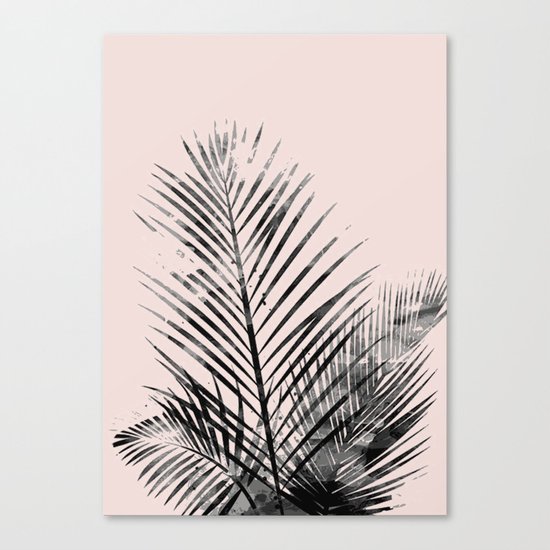 Spring palm Canvas Print
