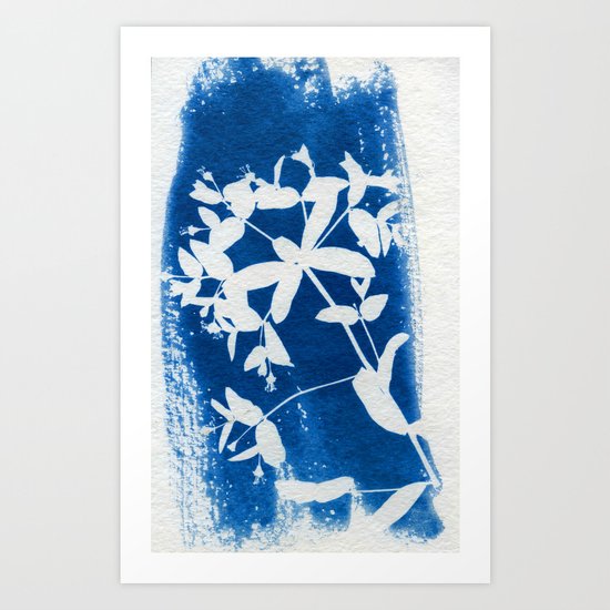 Herbal Sunprint #5 Art Print