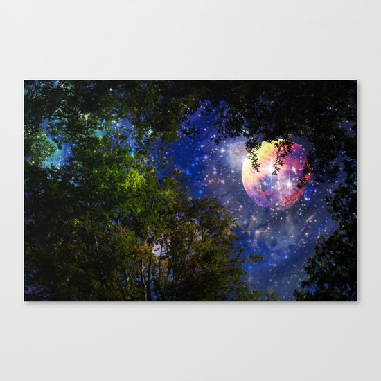 Dreams come true Canvas Print