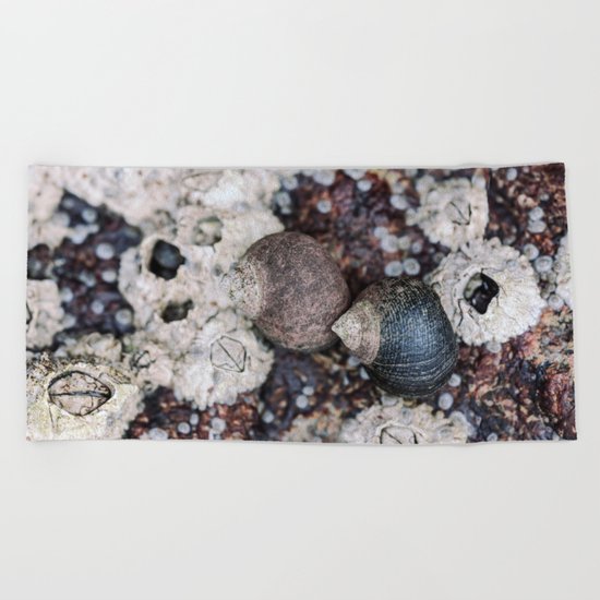 Periwinkles and Barnacles on a rock Beach Towel