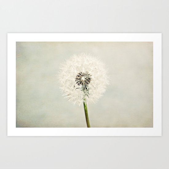 Dandelion Dreams Art Print