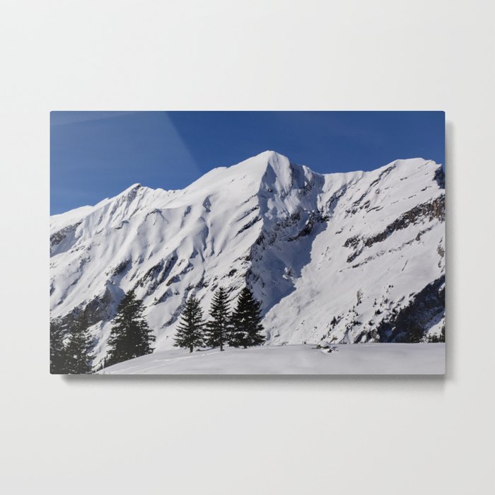 Snowy landscape Metal Print