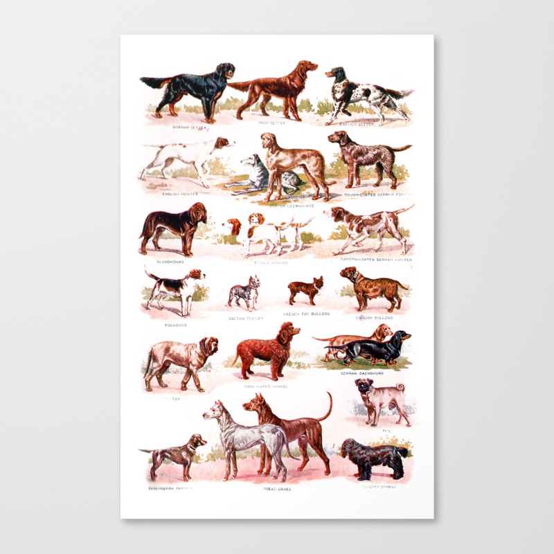 Picture Chart Of Dog Breeds