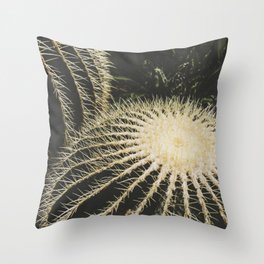 burlington coat factory decorative pillows