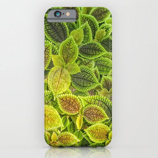 Friendship plant iPhone & iPod Case