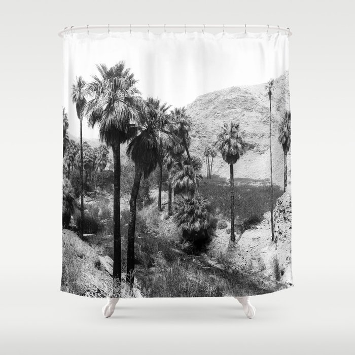 Palm Canyon near Palm Springs c.1901 Shower Curtain