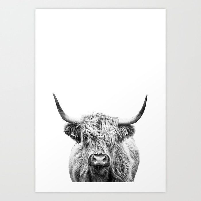 Cow Print, Cow Wallpaper Download