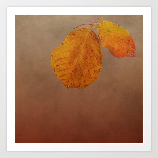 Fall leaves of an Apple tree Art Print