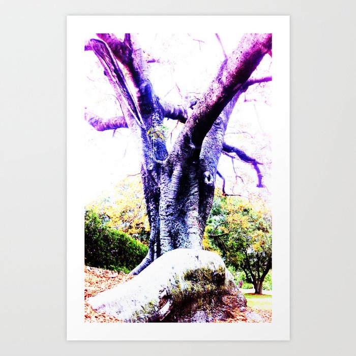 Wizard Tree Art Print