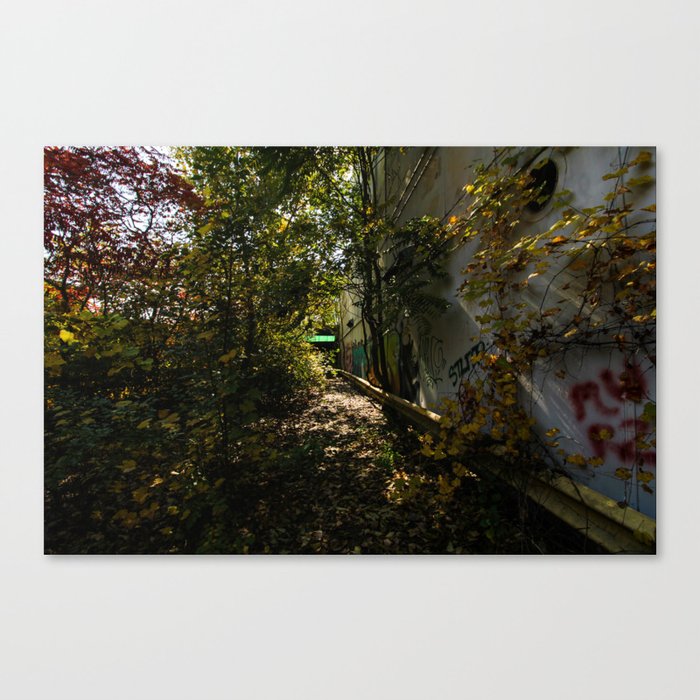 Autumn Leaves and Decay Canvas Print