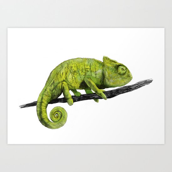 Nice Chameleon Art Print