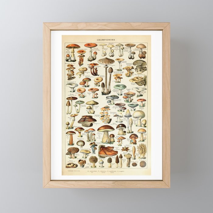 Framed Mini Art Print