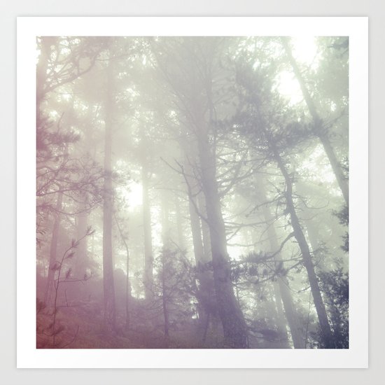 Forest Art Print
