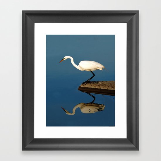 Bird Framed Art Print