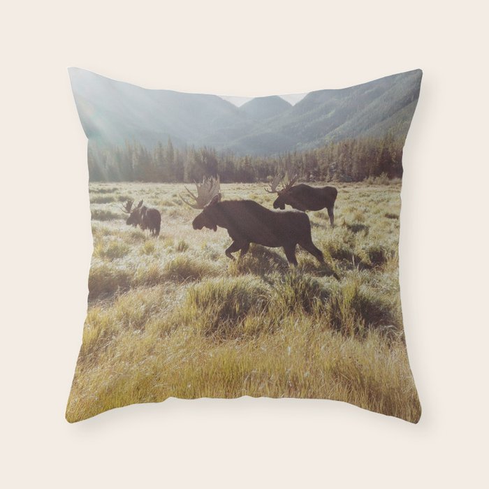 Three Meadow Moose Throw Pillow by Kevin Russ Society6