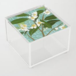 teaplant 03 | illustration Acrylic Box