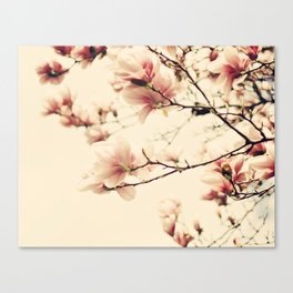 Magnolia skies Canvas Print