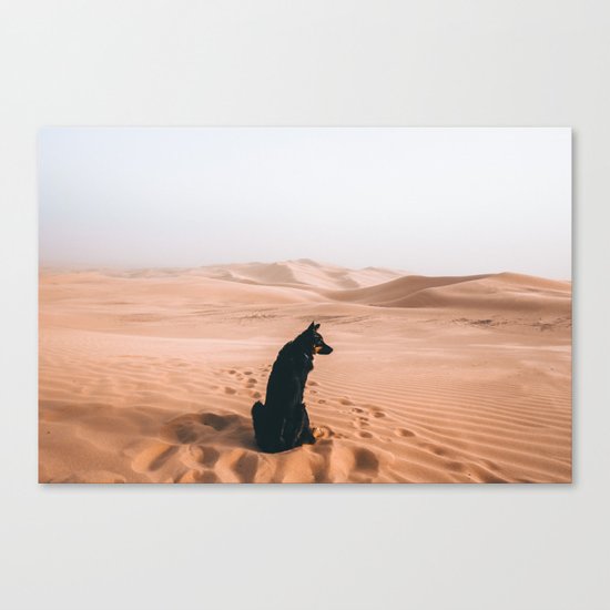 Find your way back home | Imperial Sand Dunes, California Canvas Print