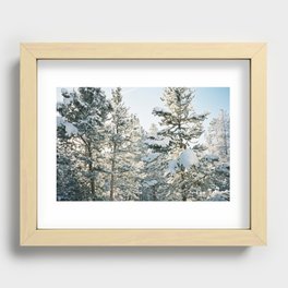Snow on Evergreens Recessed Framed Print