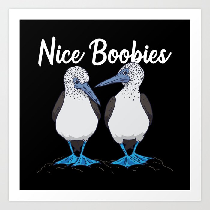 Funny Nice Boobies Gift - Booby Birds Men & Women Art Print by Qwerty  Designs