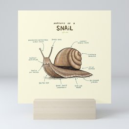 Anatomy of a Snail Mini Art Print