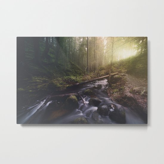 As she transforms Metal Print