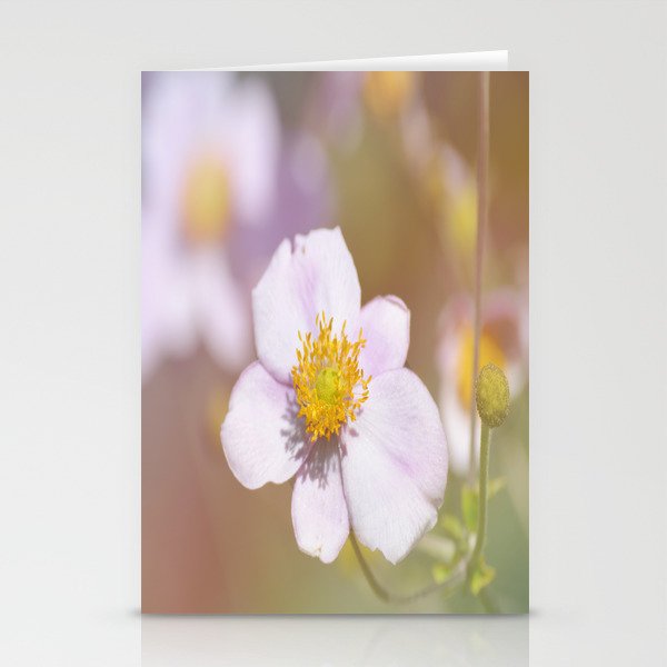 Anemone in the Garden Stationery Cards